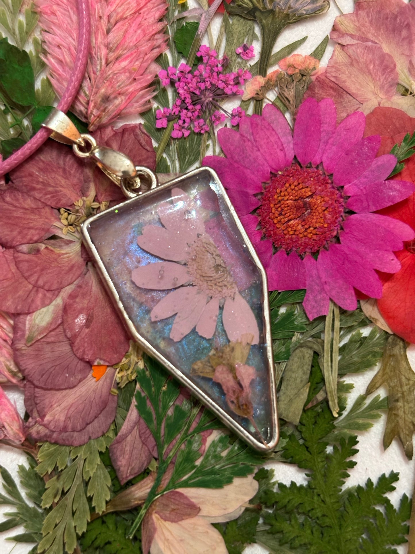 Dried flower pink silver shield