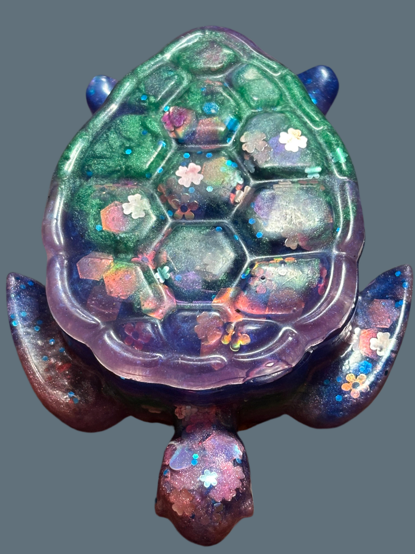 Sea turtle box