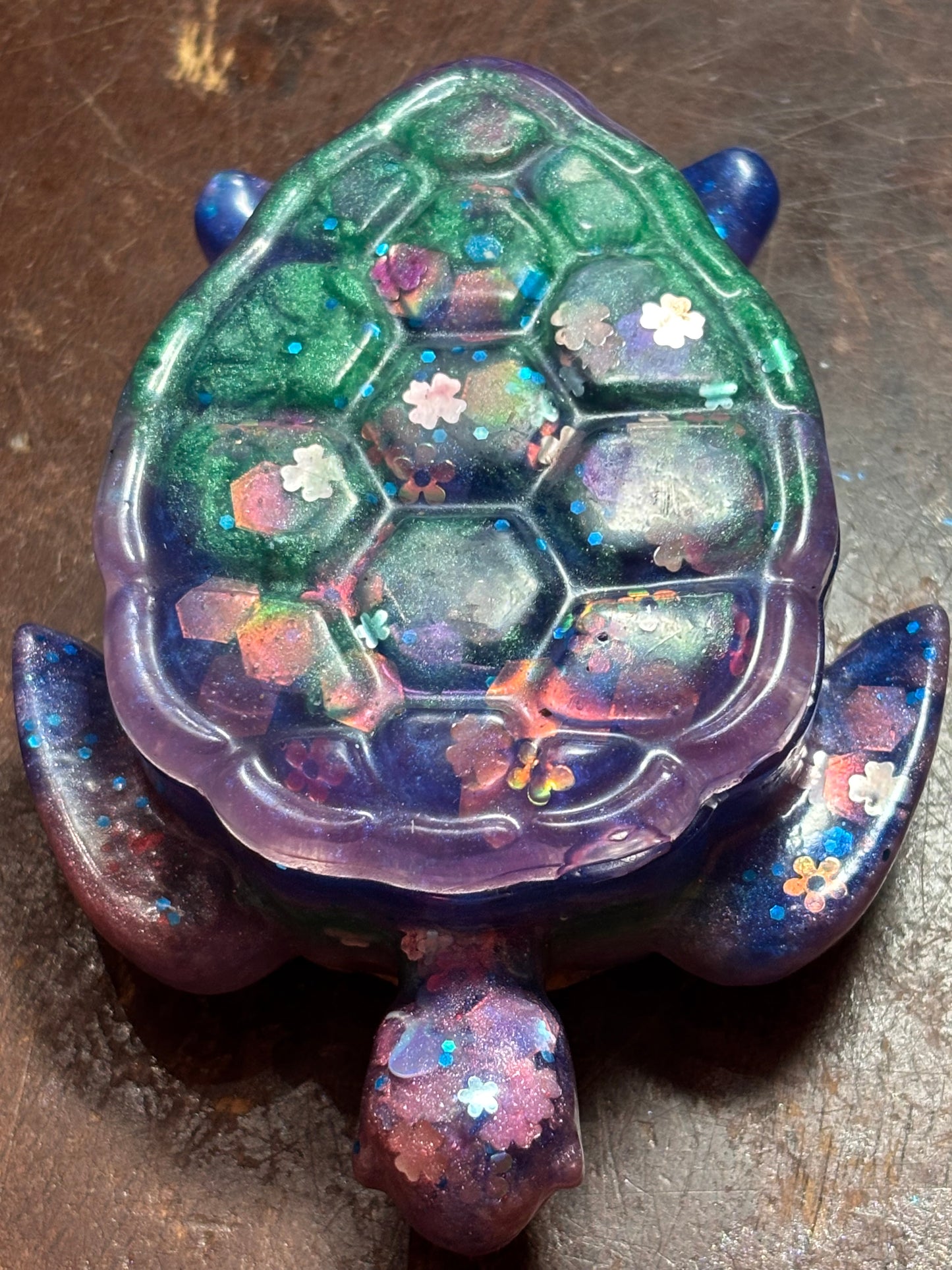 Sea turtle box