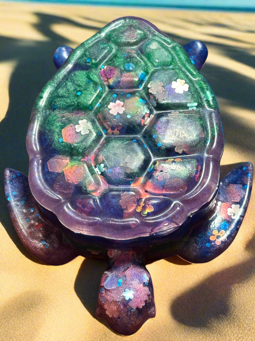 Sea turtle box