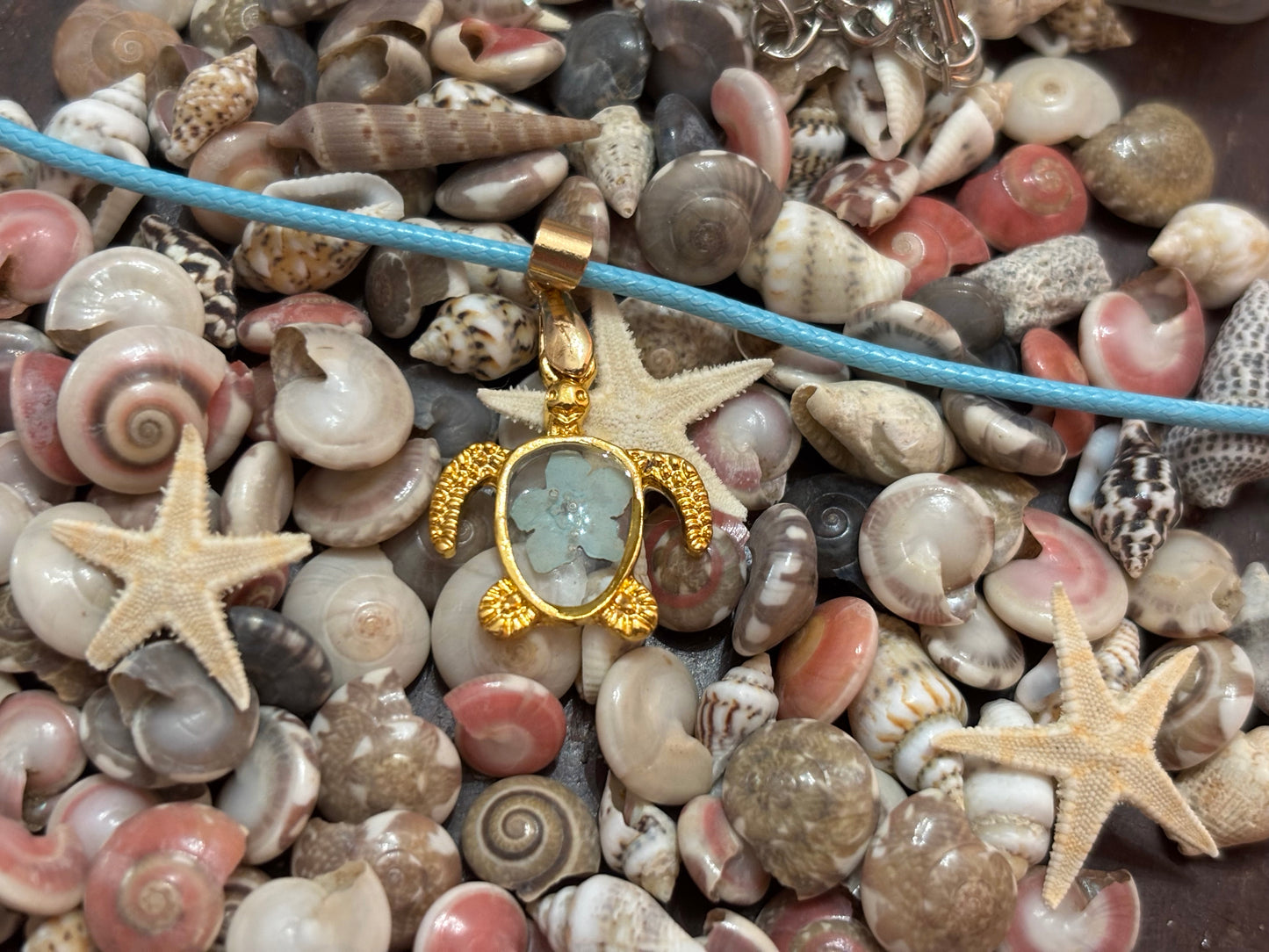 Sea turtle pendant